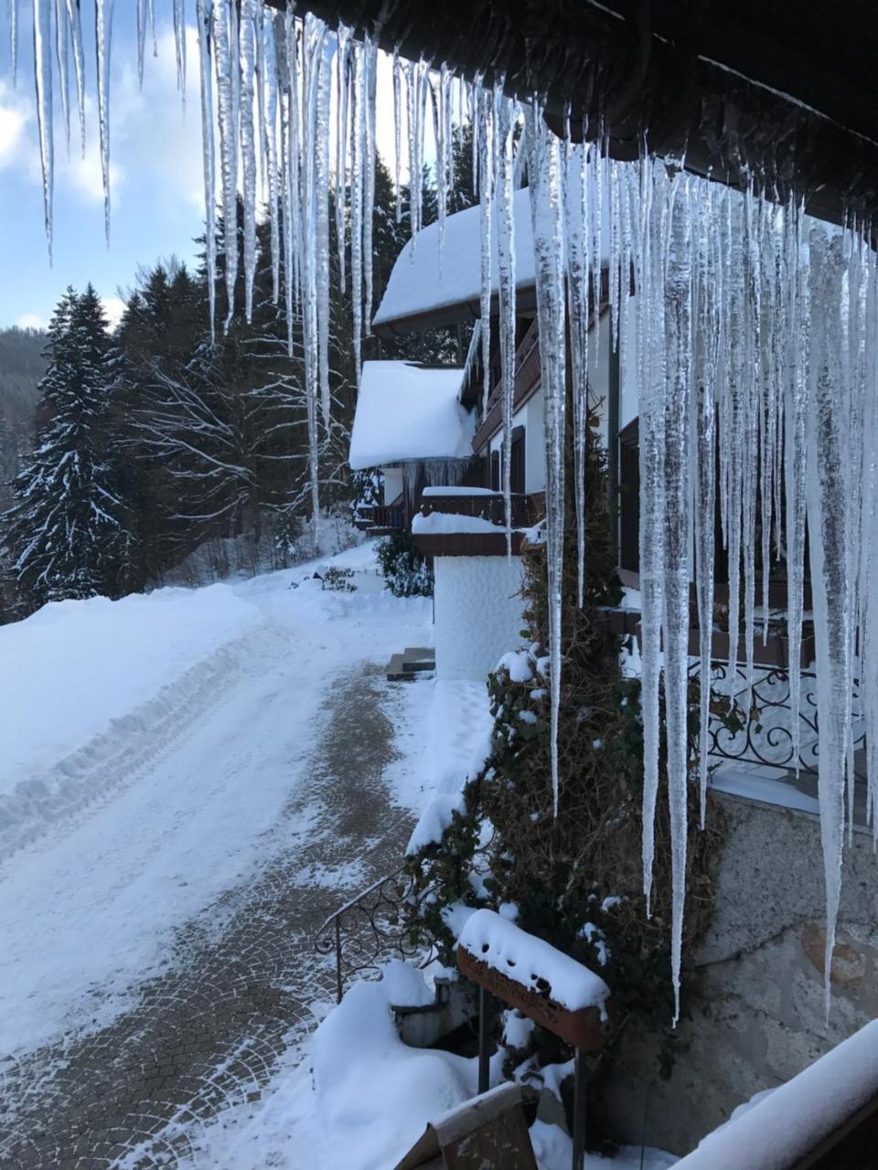 Maison d'hôtes Preissinger Warmensteinach